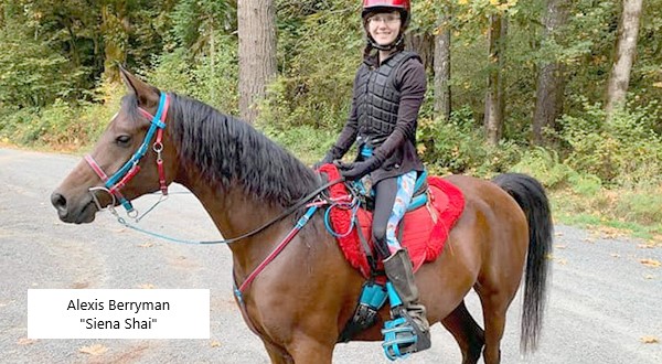 BioThane Bridles, Halters, Breast Collars, and Reins.