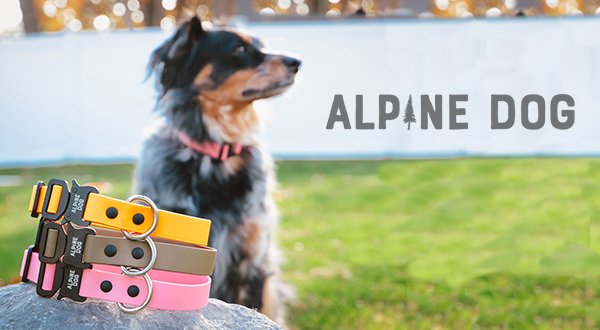 Alpine dog collars 