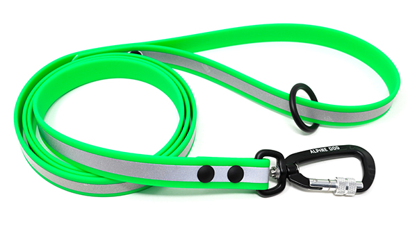 Alpine Dog Green Reflective Leash