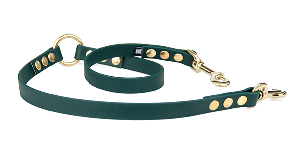 ACCDOG green leash