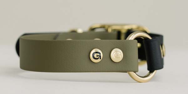 Gula Dog Collar