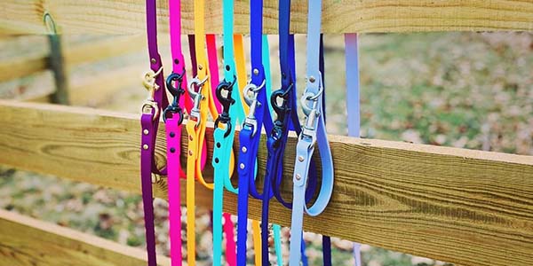 Color Up Pet Colorful Leashes