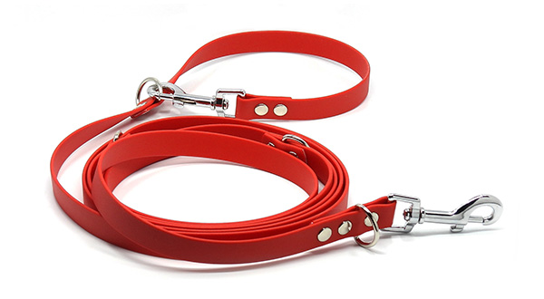 Smart Animal Red Leash