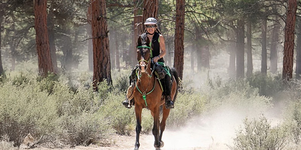 BioThane Bridles, Halters, Breast Collars, and Reins.