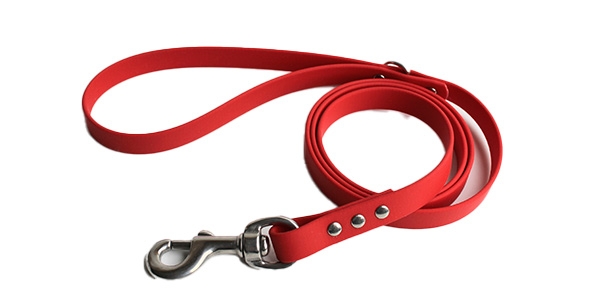 Red dog leash