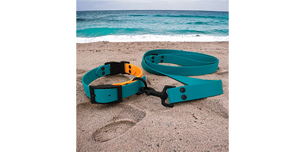 Goodwalk collar and leash