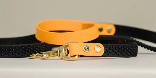 Gula Black and Orange Leash