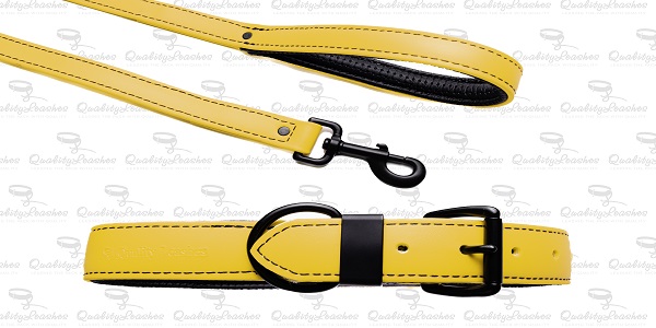 Quality Leashes BioThane Dog Collar and Leash