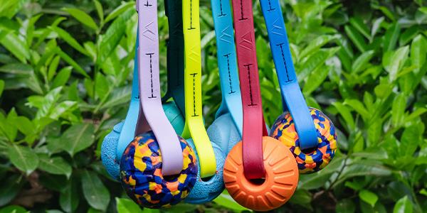 BolderK9 ball toys
