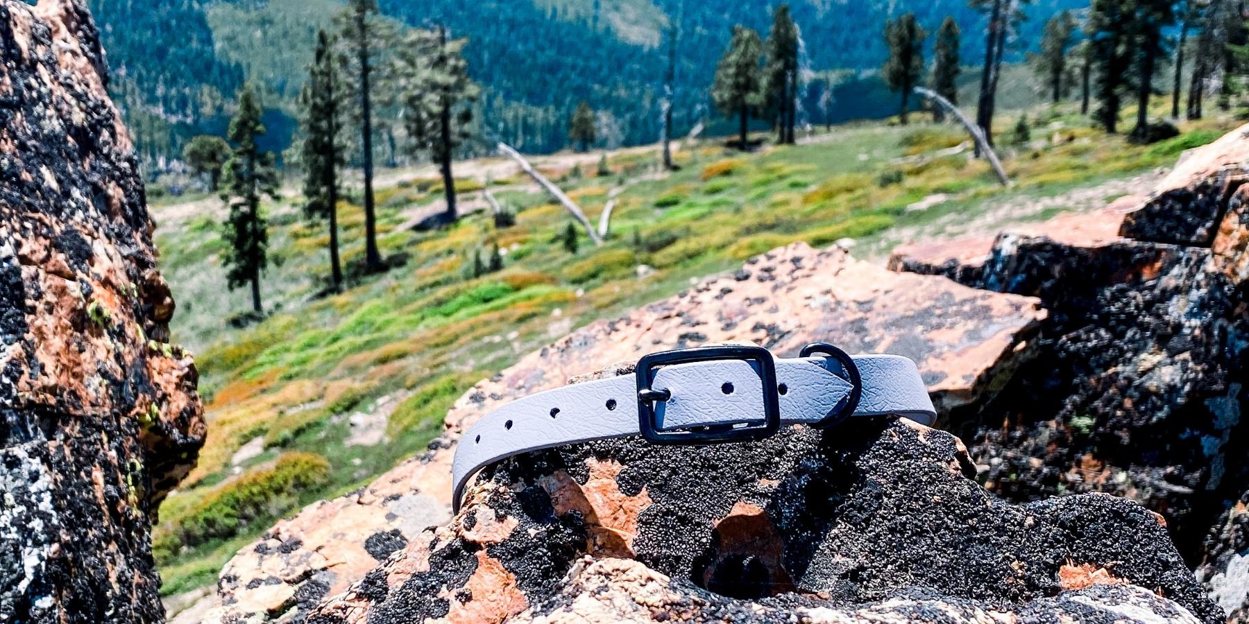 Evergreen Dog Co. collars