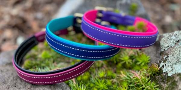 3 Trailblazing Tails Collars