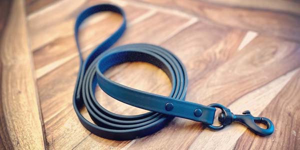 Color Up K9 Leash