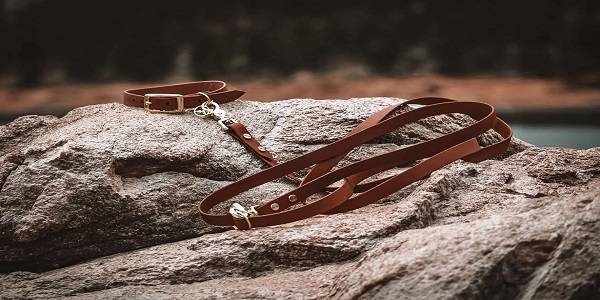 Evergreen Dog Co. Leash and collar