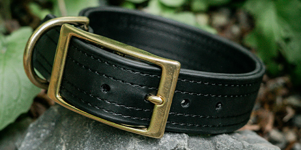 BolderK9 collar
