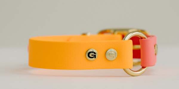 Orange and Pink Gula Dog Collar