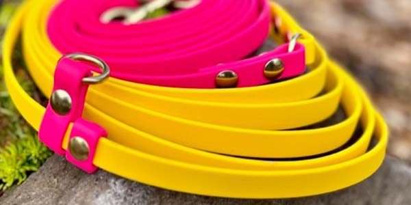 Pink and Yellow Trailblazing Tails leash made with BioThane