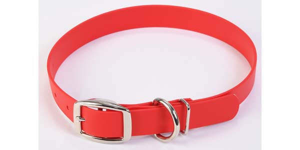 Shmuate Red Collar